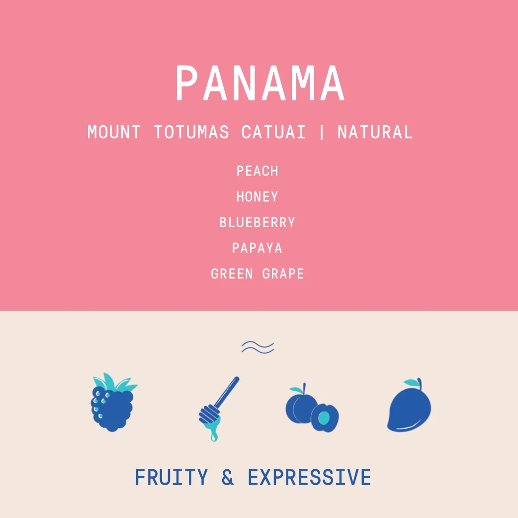 Panama - Mount Totumas Catuai | Natural - 200g - Image 2