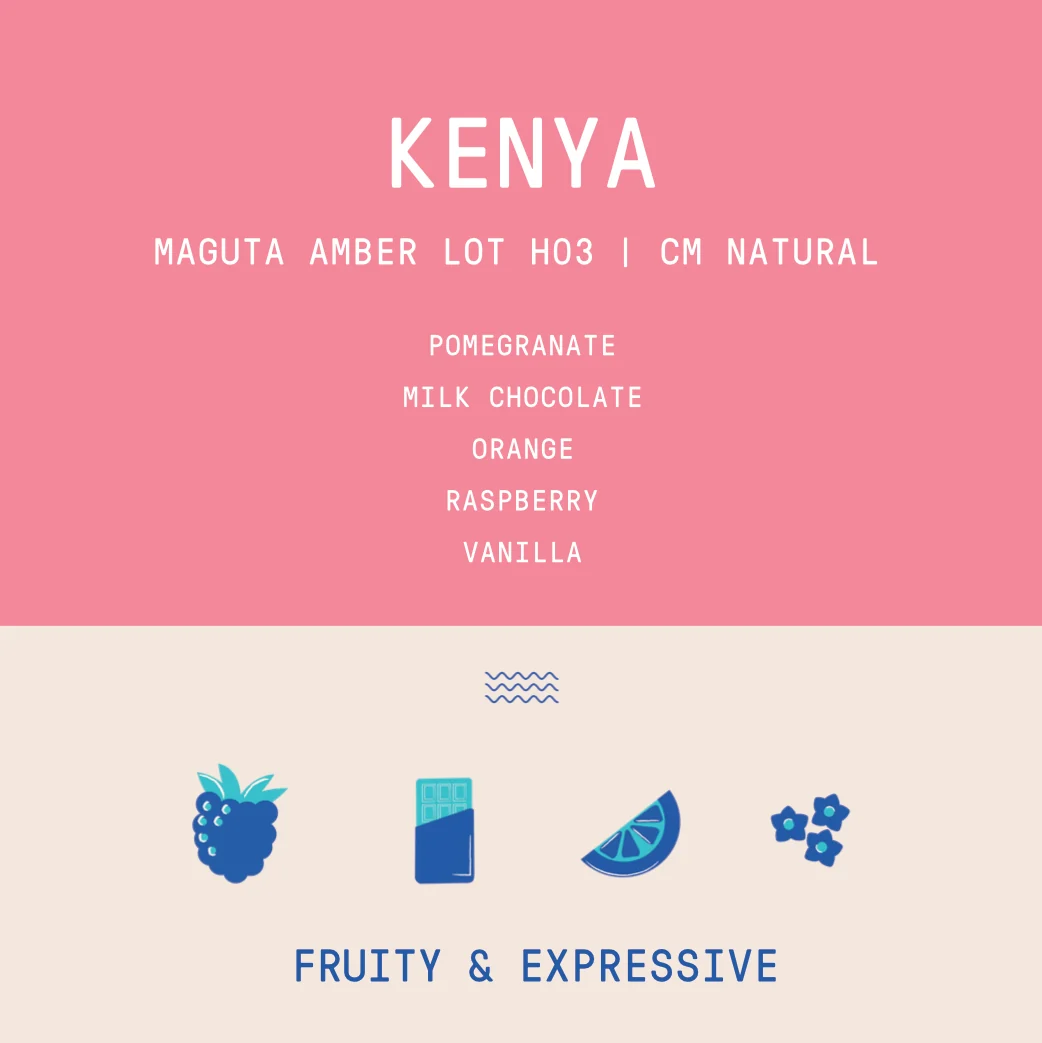 Kenya - Project Origin Maguta Estate Amber Lot H03 | CM Natural - 100g - Archived - Image 2