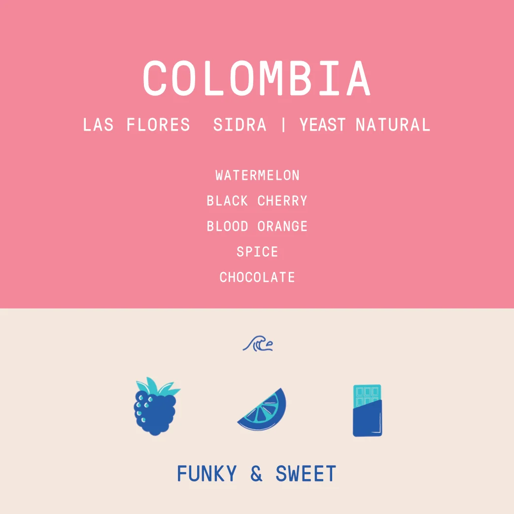 Colombia - Las Flores | Sidra Thermal Shock Yeast Anaerobic Natural - Archived - Image 2