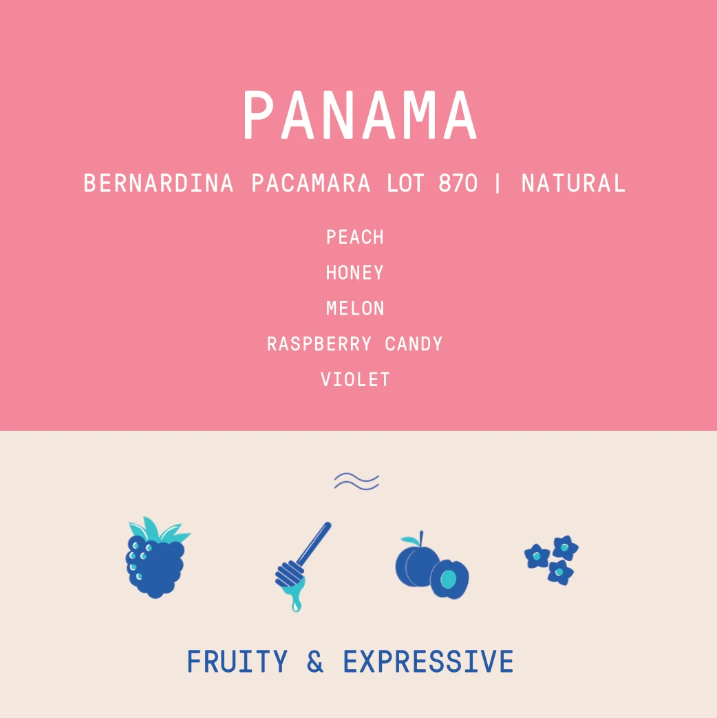 Panama - Finca Bernardina Pacamara Lot 870 | Extended Fermentation Natural - Archived - Image 2