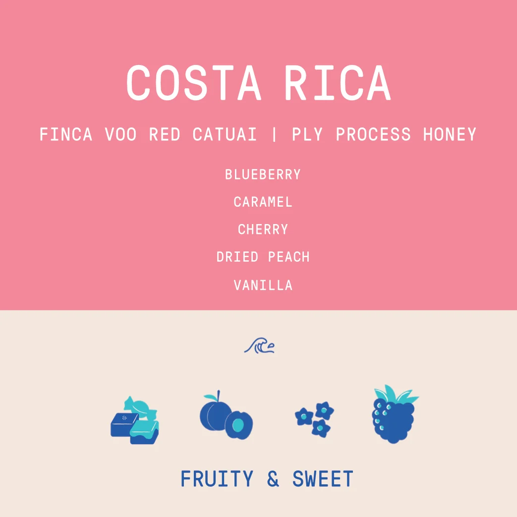 Costa Rica - Finca VOO Red Catuai | Ply Process Cold Fermentation Honey - Archived - 250g - Image 2