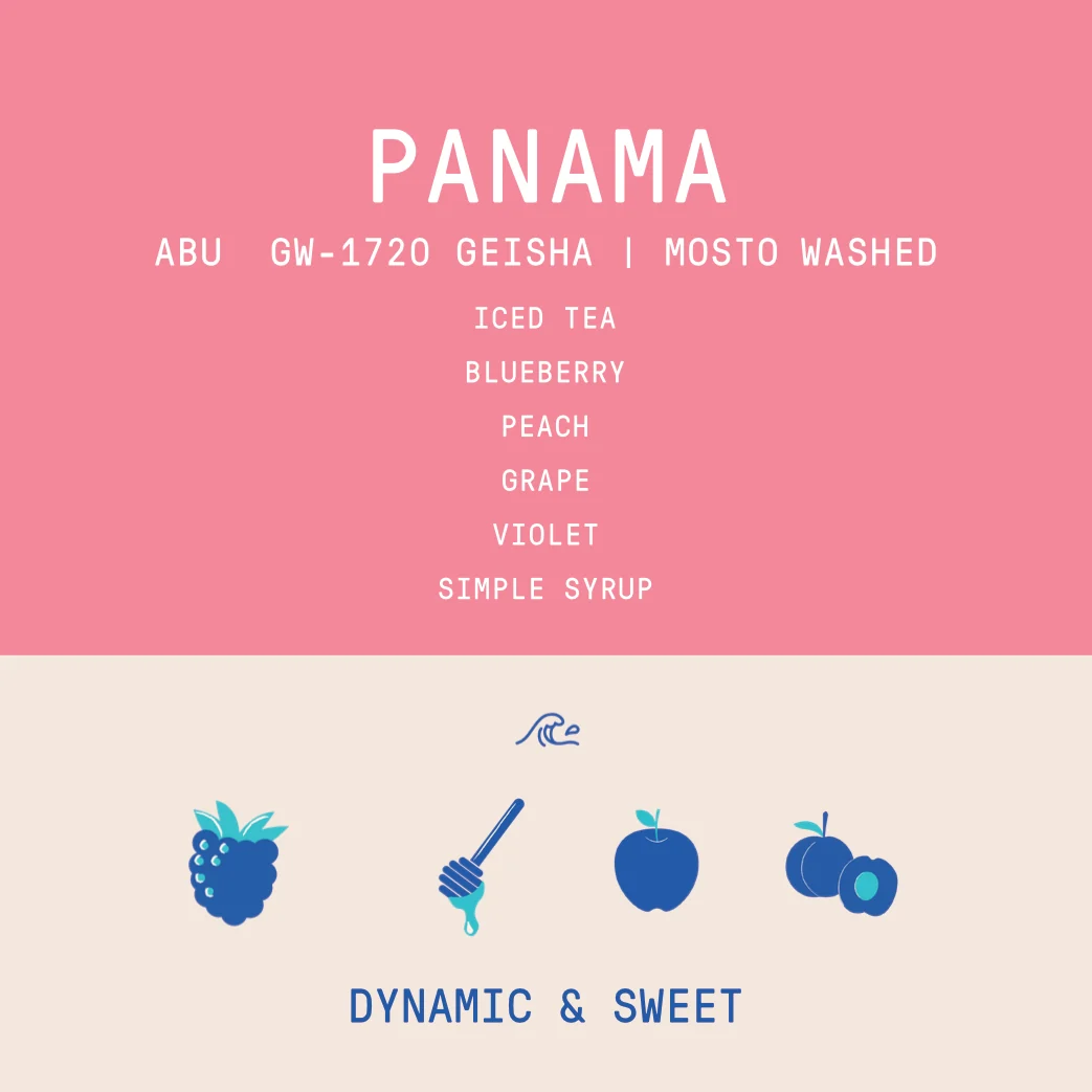 Panama - Abu Geisha GW-1720 | Mosto Washed - 100g - Archived - Image 2