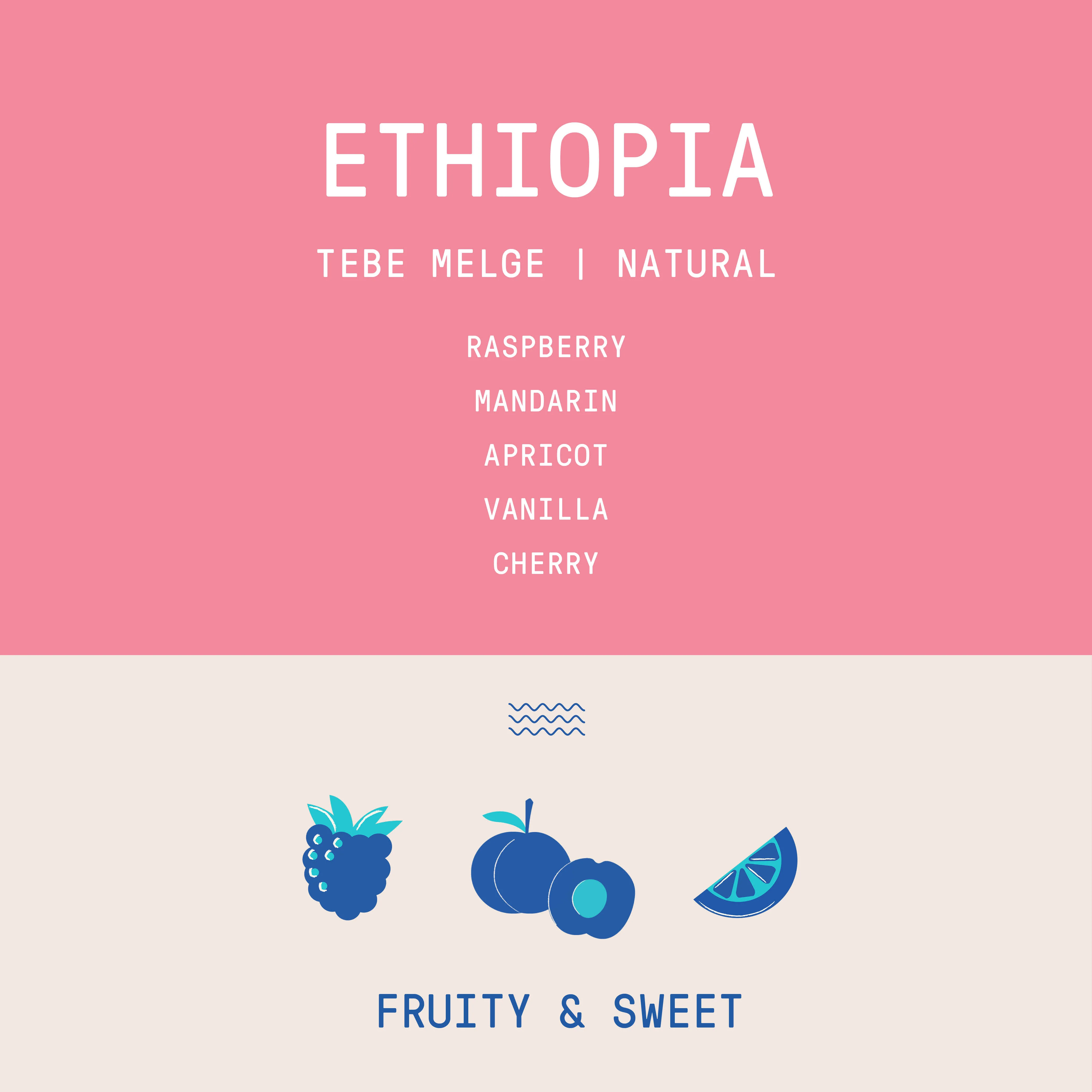 Ethiopia - Tebe Melge | Natural - Archived - 2.5 KG - Image 2