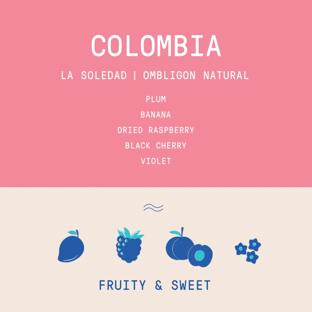 Colombia - La Soledad 2024 | Ombligon Natural - Archived - 200g - Image 2
