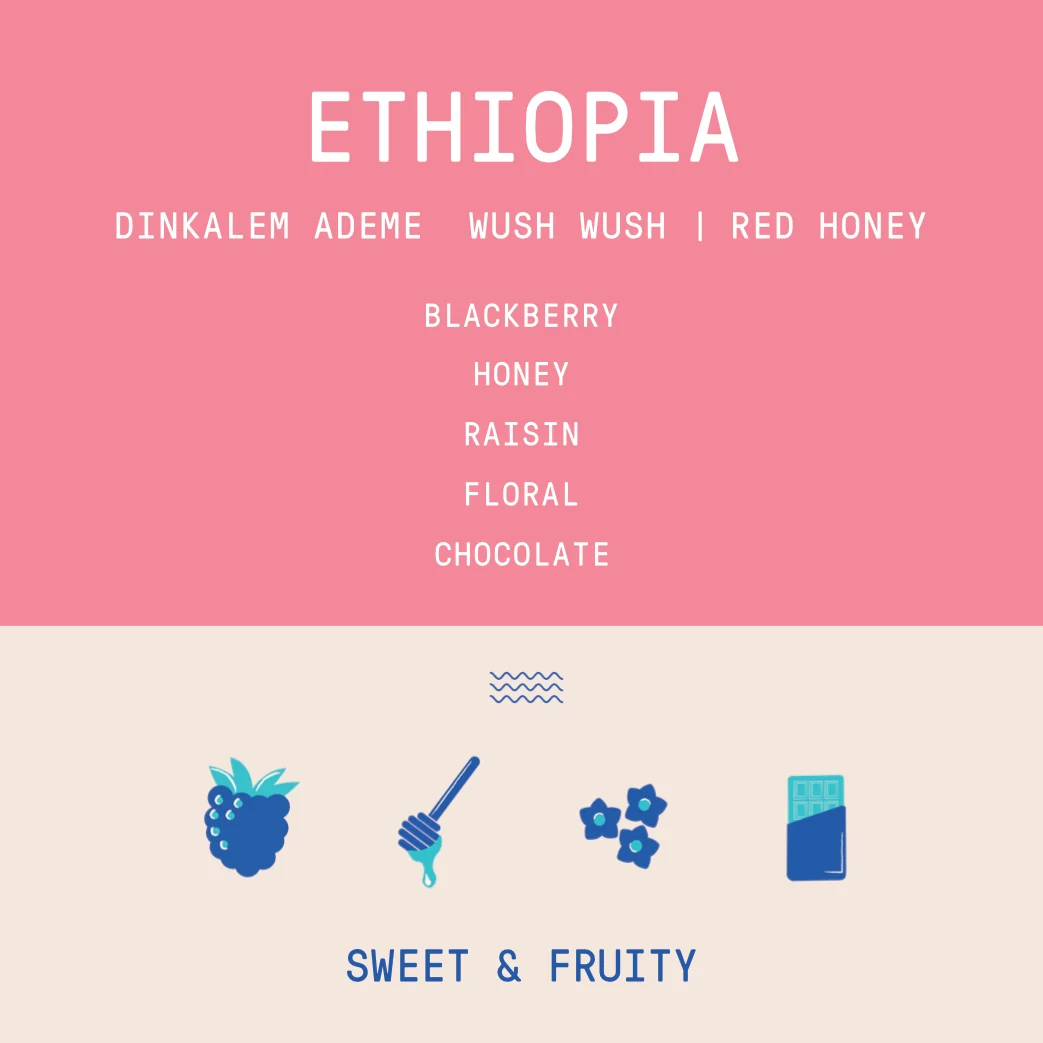 Ethiopia - Dinkalem Ademe | Wush Wush Red Honey - Archived - 1 KG - Image 2