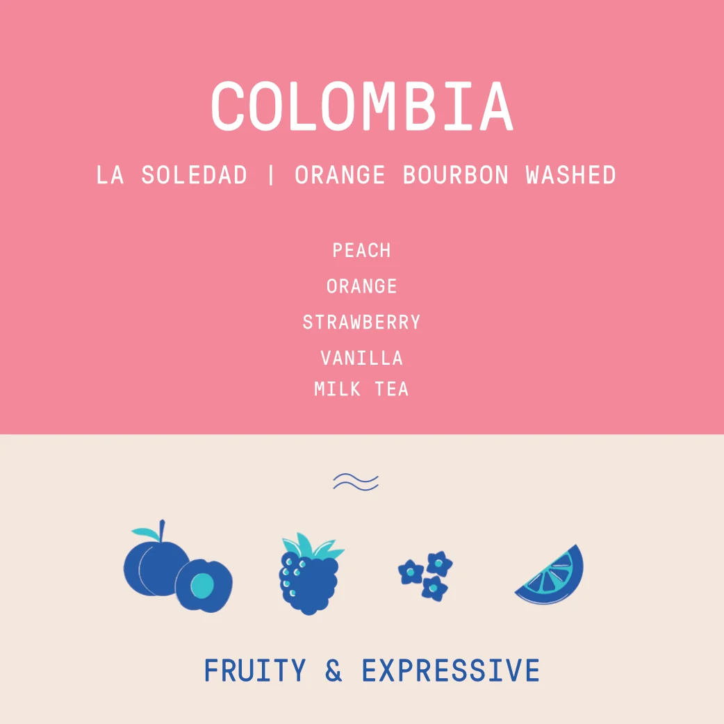 Colombia - La Soledad | Orange Bourbon Fermented Washed - Archived - 40 g - Image 2
