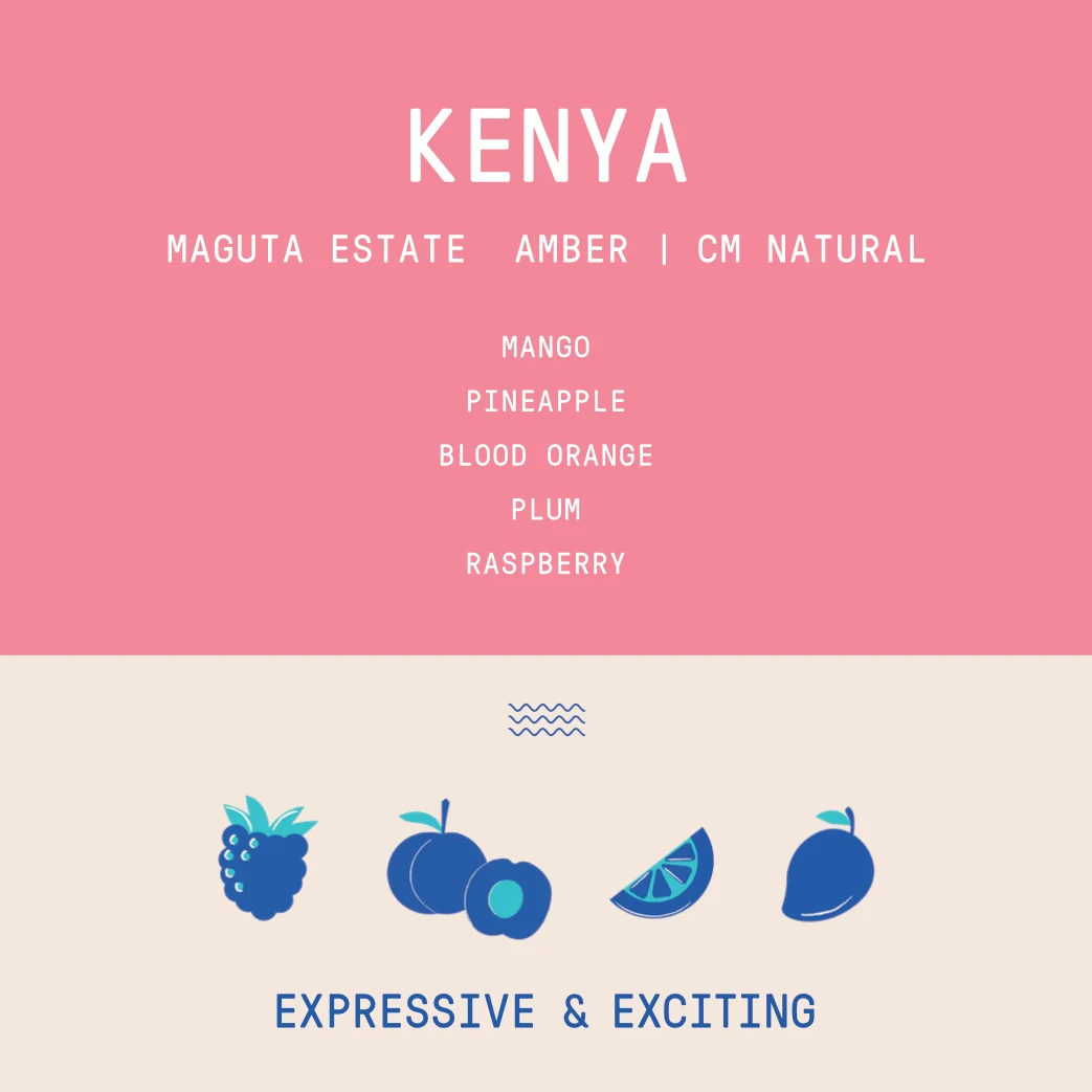 Kenya - Project Origin Maguta Estate Amber Lot 196| CM Natural - 100g - Archived - Image 2