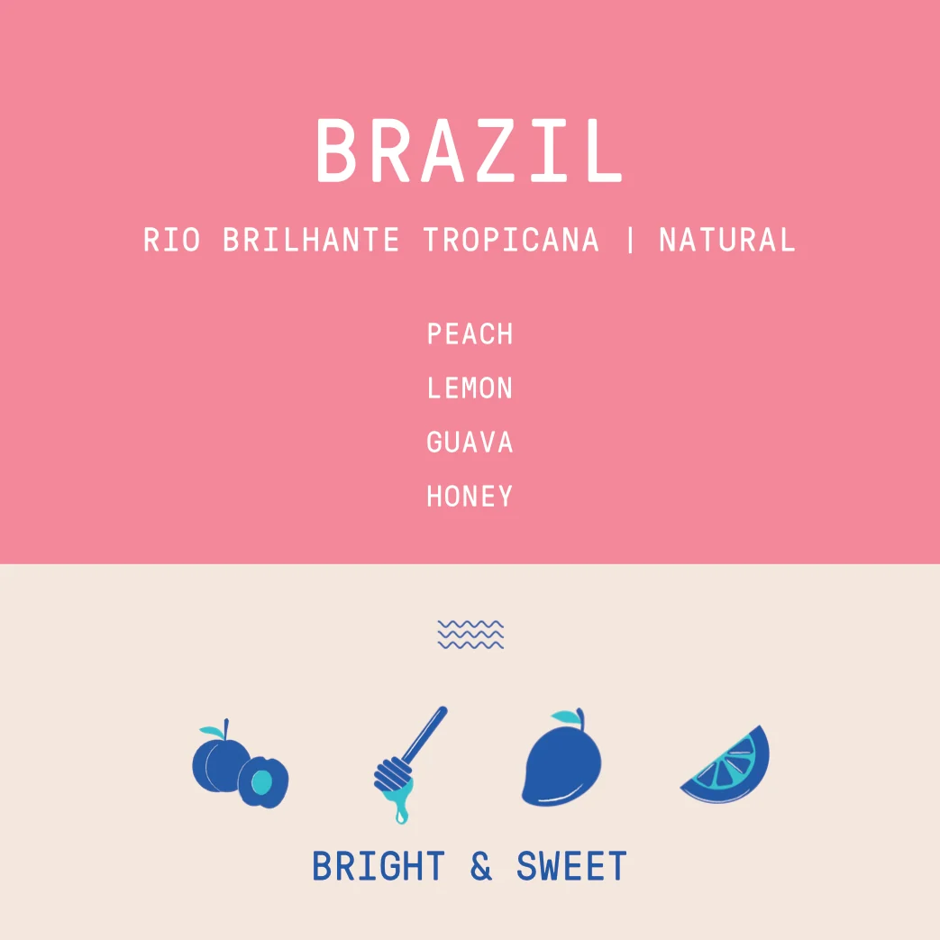 Brazil - Rio Brilhante | Tropicana Natural - Archived - 40g SAMPLE - Image 2