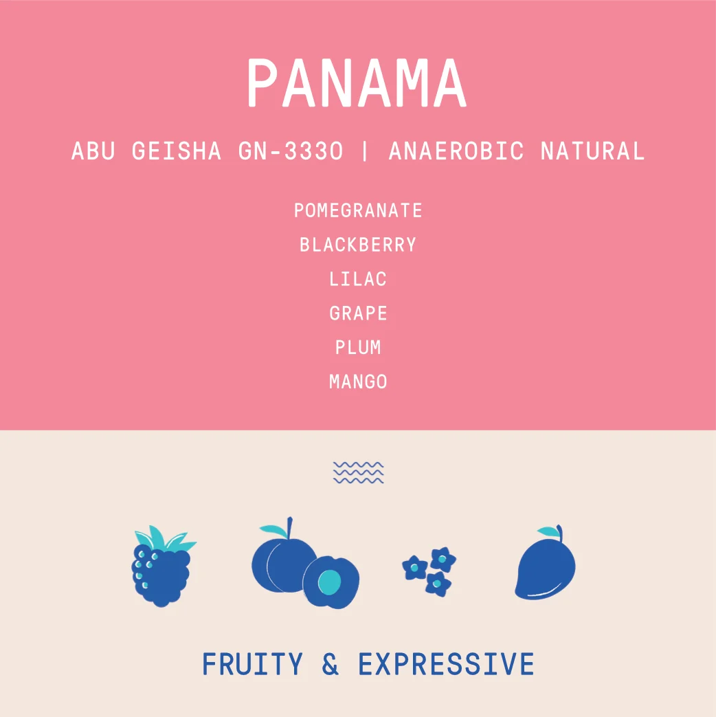 Panama - Abu Geisha GN-3330 | Double Phased Anaerobic Natural - 100g - Archived - Image 2