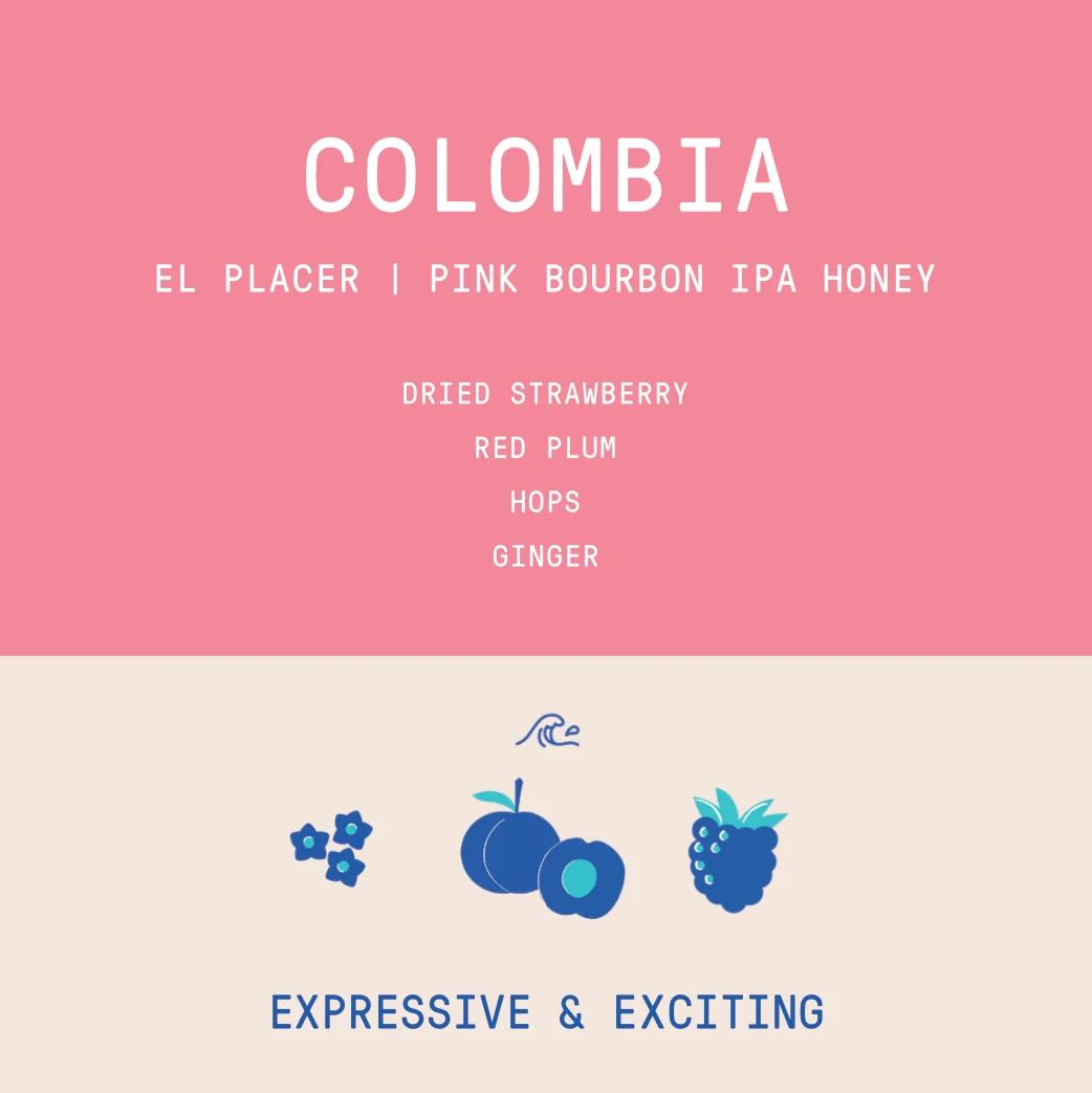 Colombia - El Placer | Pink Bourbon IPA Honey - Archived - Image 2
