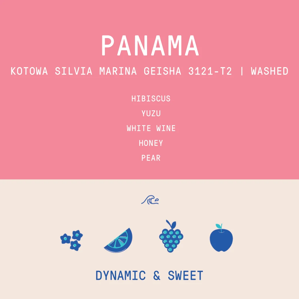 Panama - Silvia Marina Lot 3121-T2 | Geisha Washed - 100g - Archived - Image 2