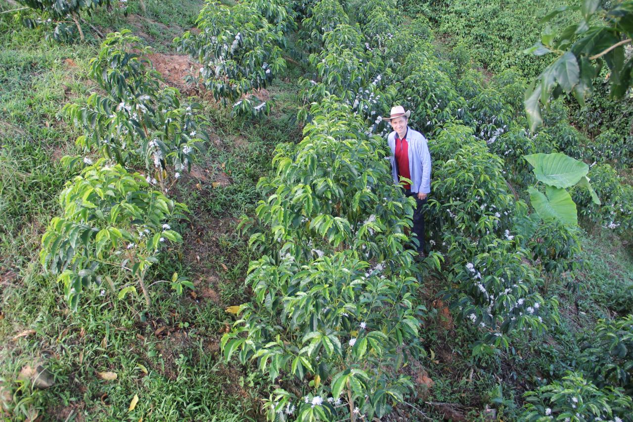 Colombia - La Soledad | Orange Bourbon Fermented Washed 2025 - Archived - 250g - Image 5