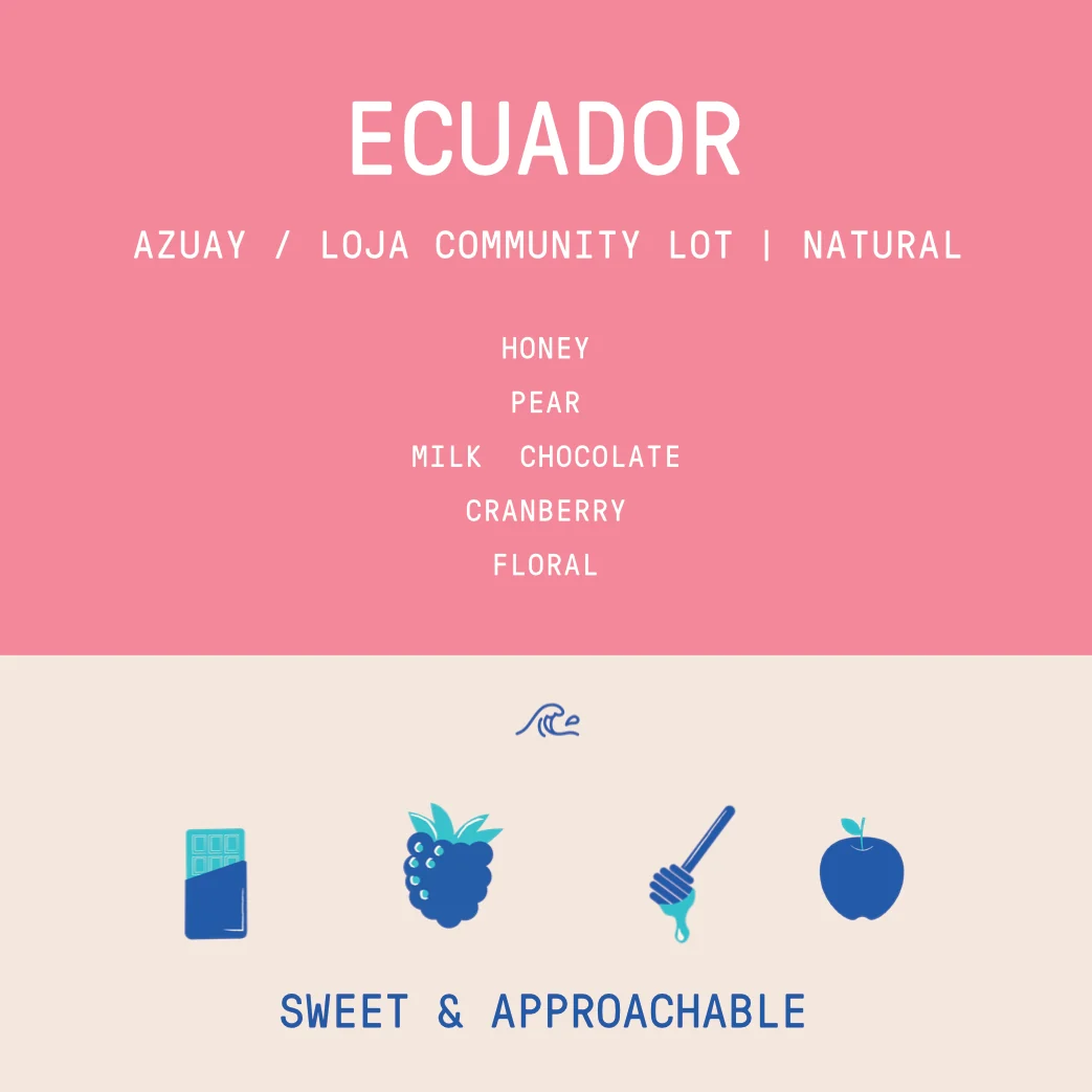Ecuador - Azuay / Loja - Community Lot | Natural - Archived - 1 KG - Image 2