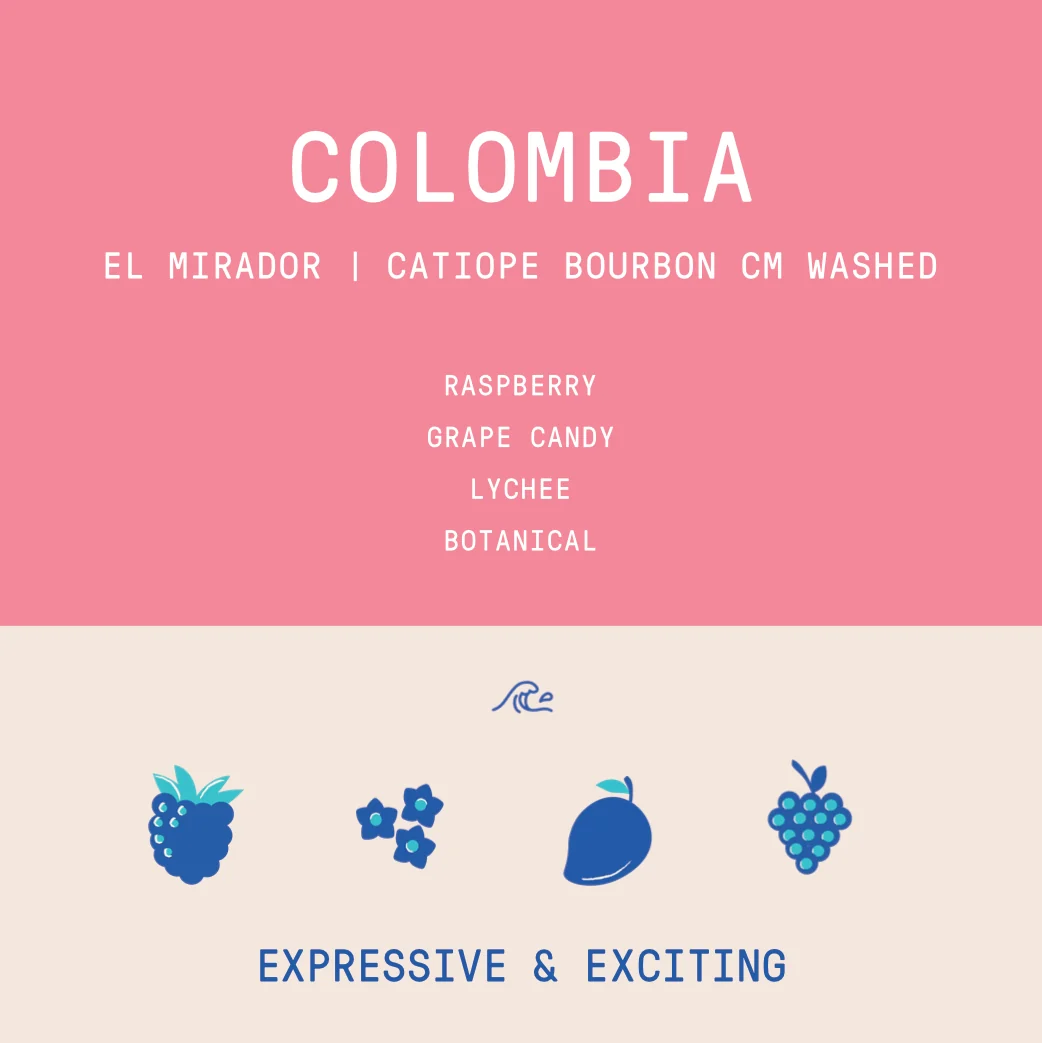 Colombia - Elkin Guzman El Mirador Catiope Bourbon | CM Washed - Archived - 40g SAMPLE - Image 2