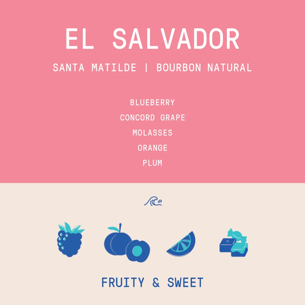 El Salvador - Santa Matilde | Bourbon Natural - Archived - 340g - Image 2