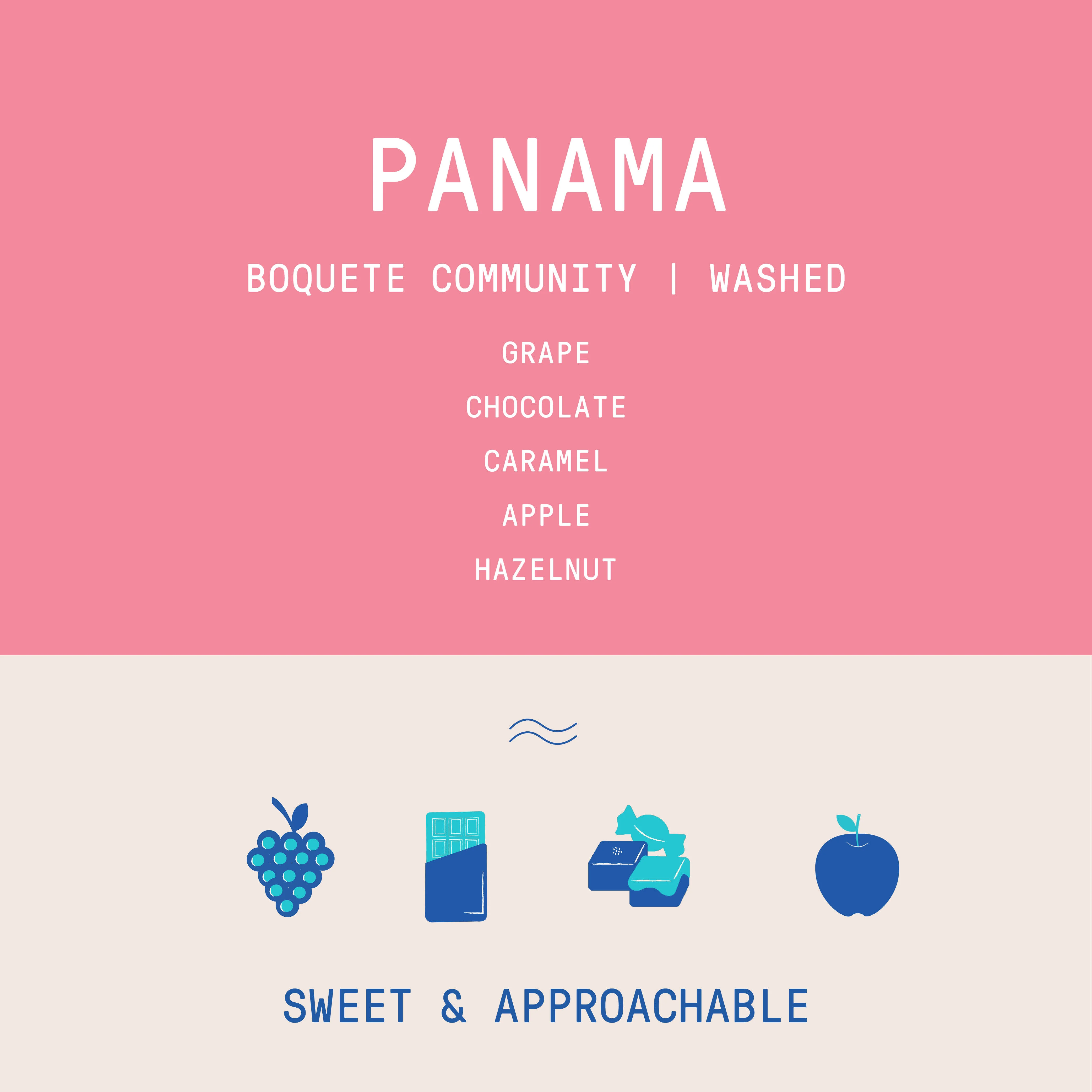 Panama - Boquete | Washed - Archived - 40g SAMPLE - Image 2