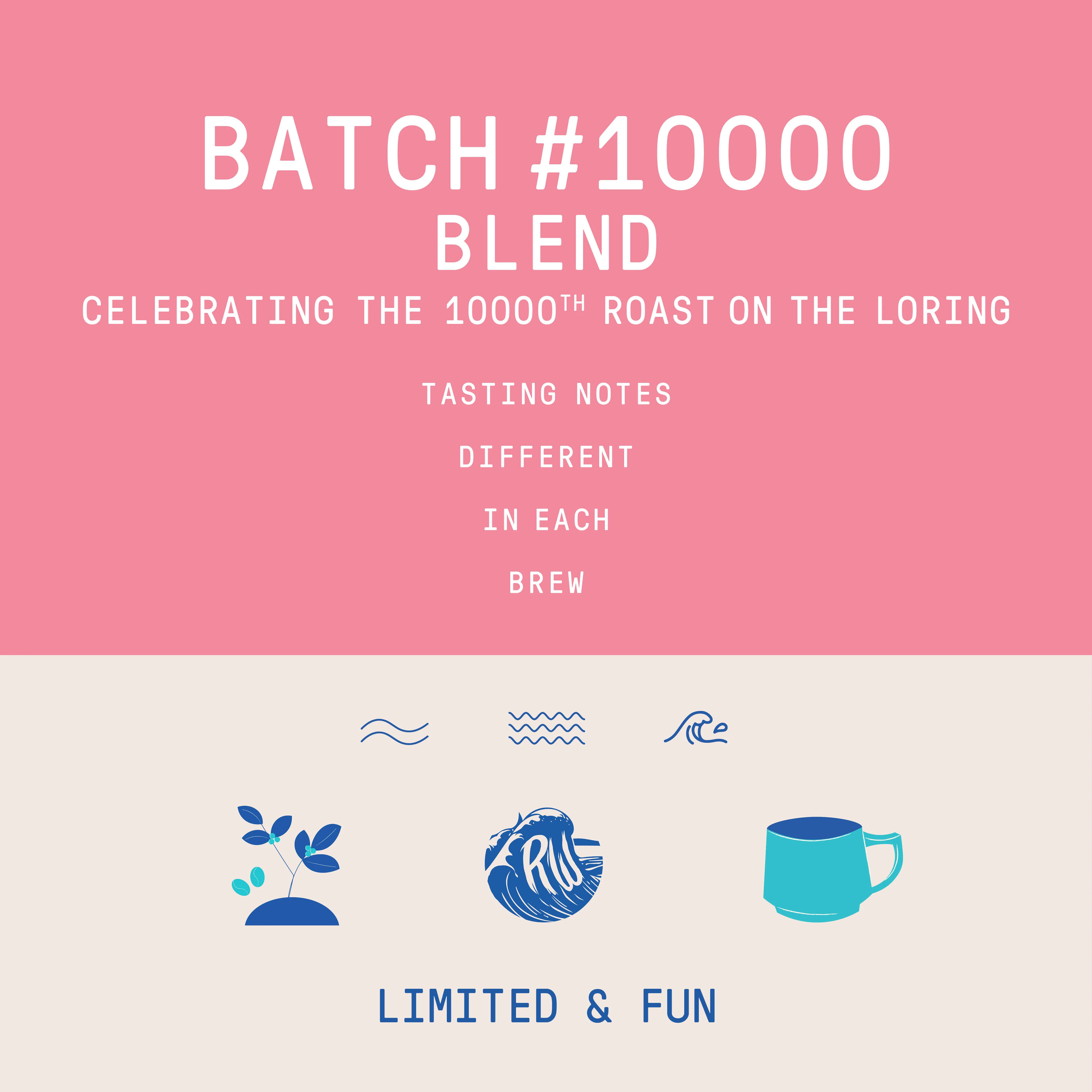Blend - Batch #10000 Celebration Blend - 250g - Archived - Image 2