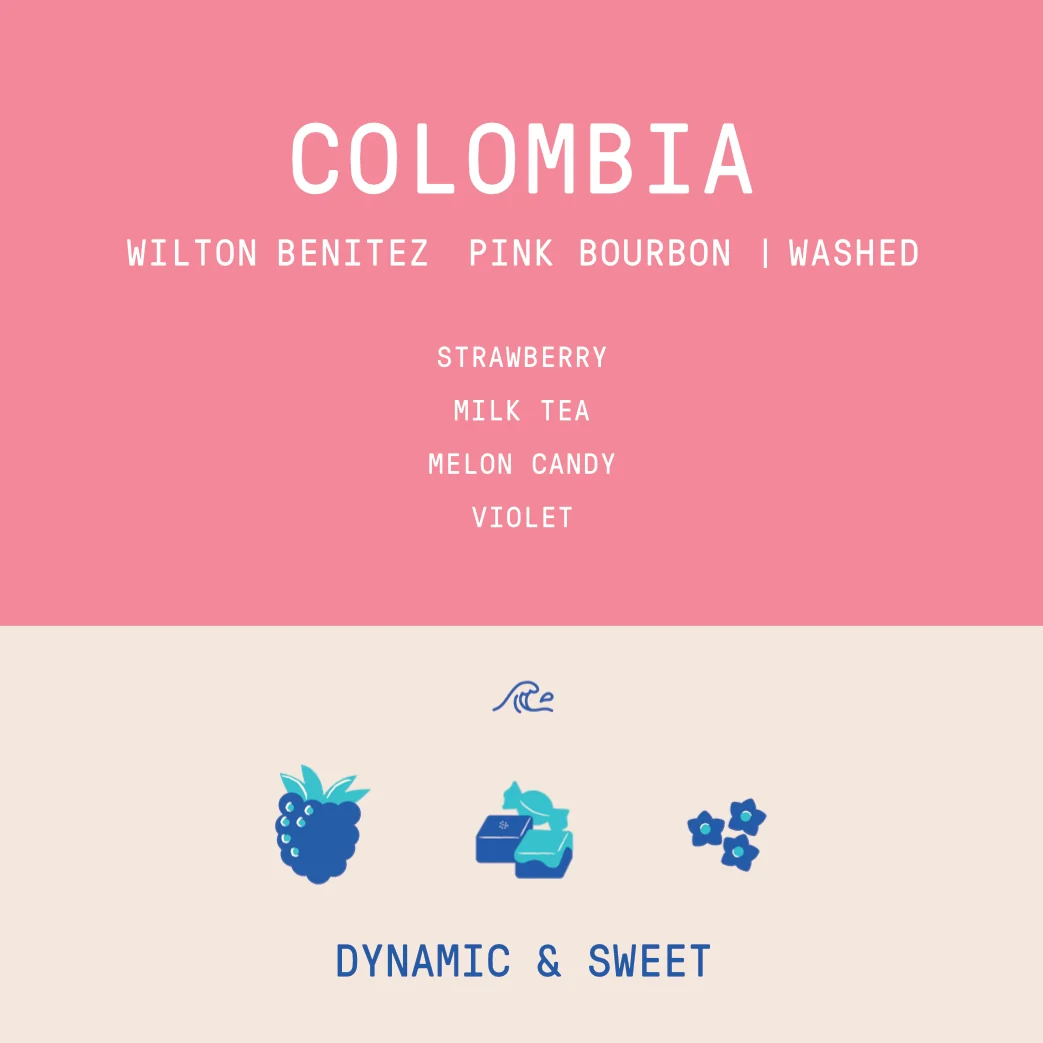 Colombia - Granja Paraiso 92 | Pink Bourbon Thermal Shock Washed - Archived - 200g - Image 2