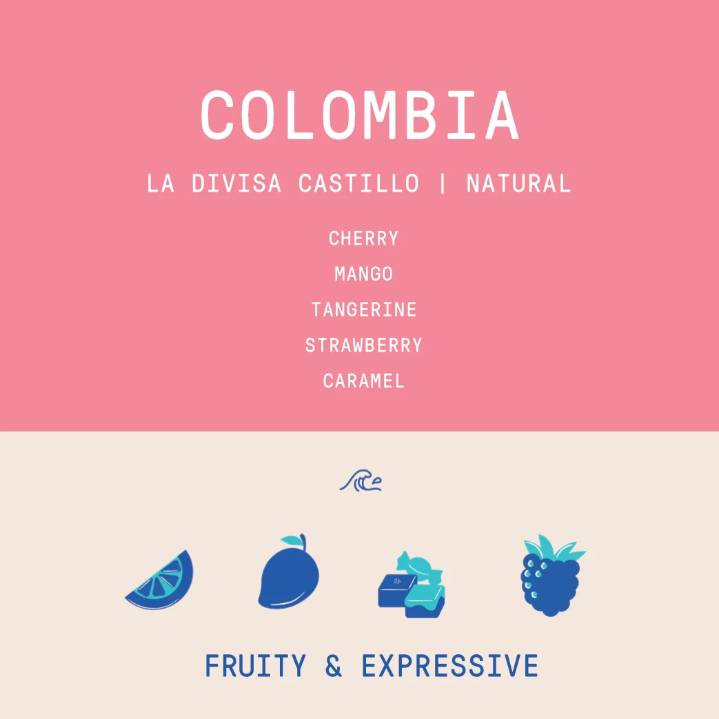 Colombia - La Divisa | Castillo Natural - 1kg - Image 2