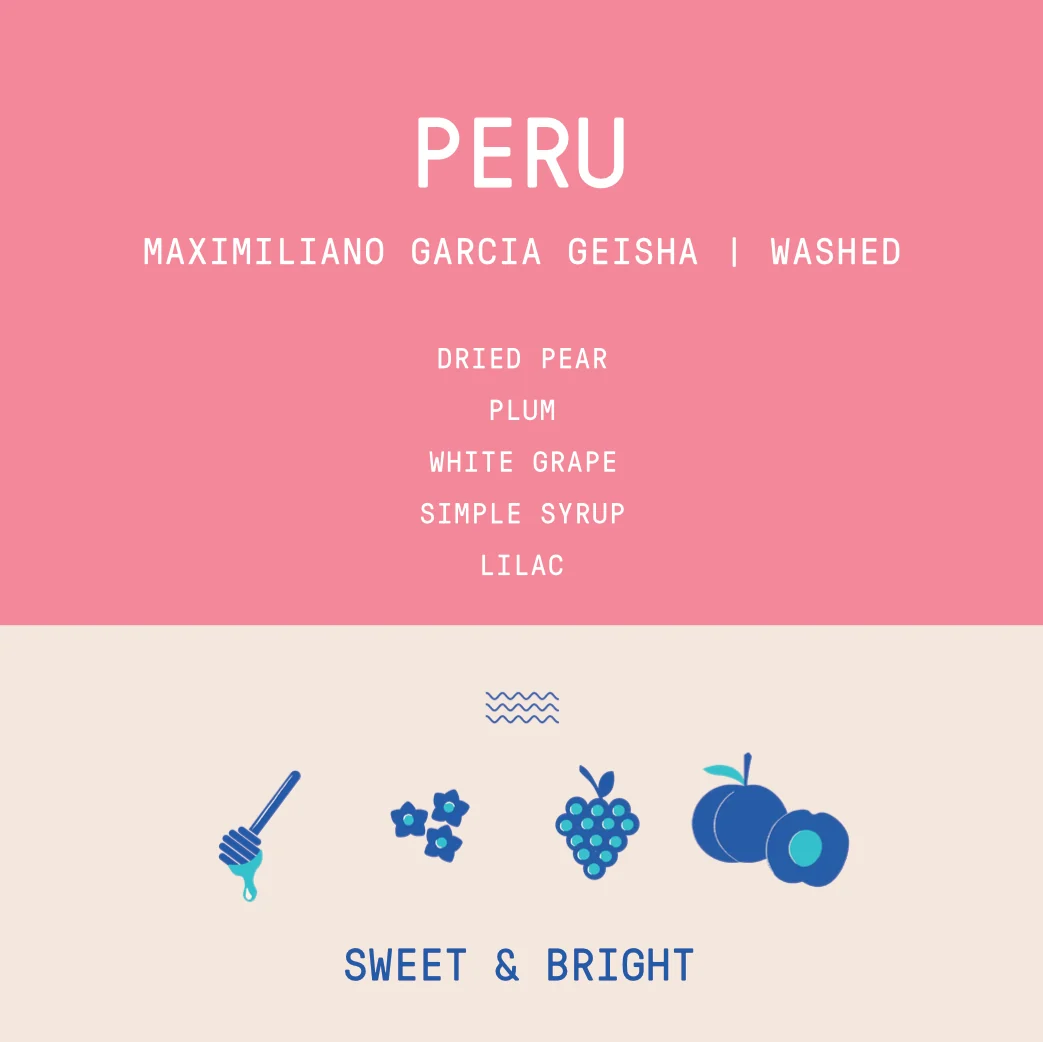Peru - Garmas Maximiliano Garcia | Geisha Washed - Archived - 40g - Image 2