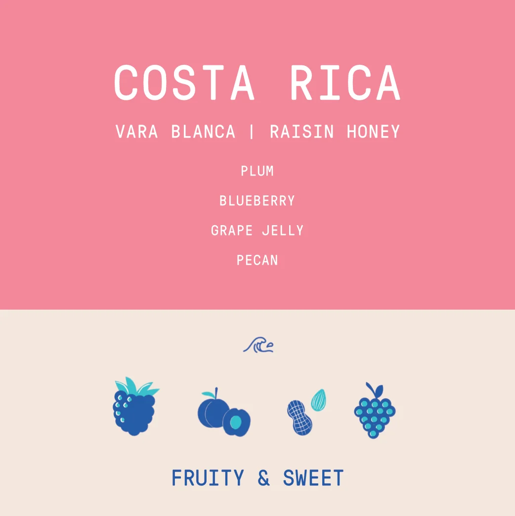 Costa Rica - Ivan Solis - Vara Blanca | Raisin Honey - Archived - 1 KG - Image 2