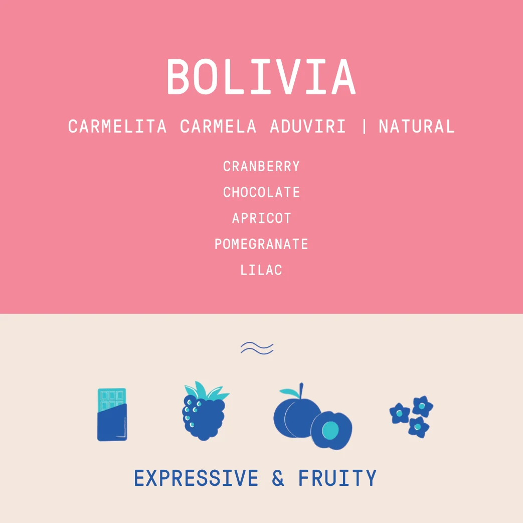 Bolivia - Carmelita Carmela Aduviri | Natural - Archived - 1 KG - Image 2