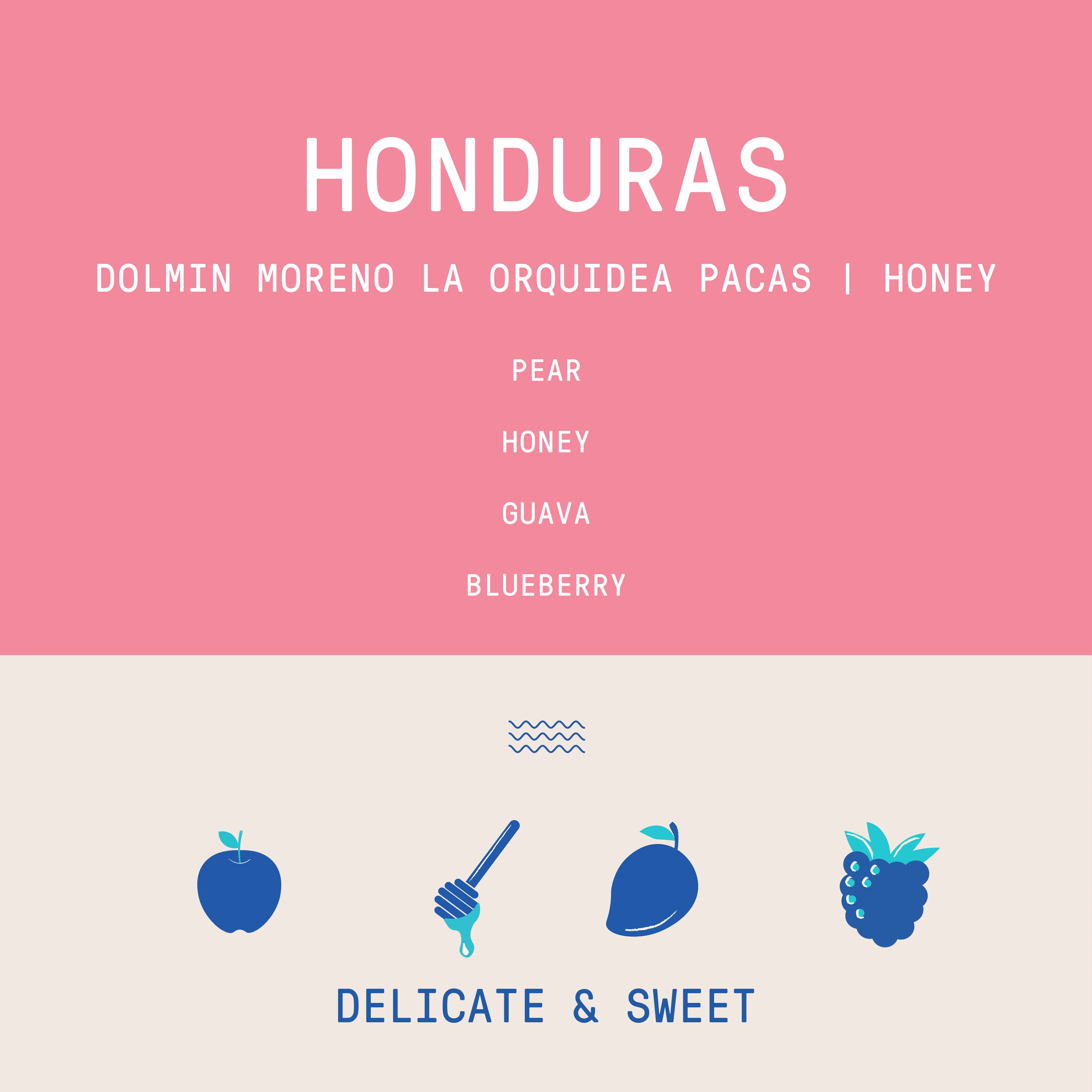 Honduras - Dolmin Moreno - La Orquidea Pacas | Honey - Archived - 2.5 KG - Image 2