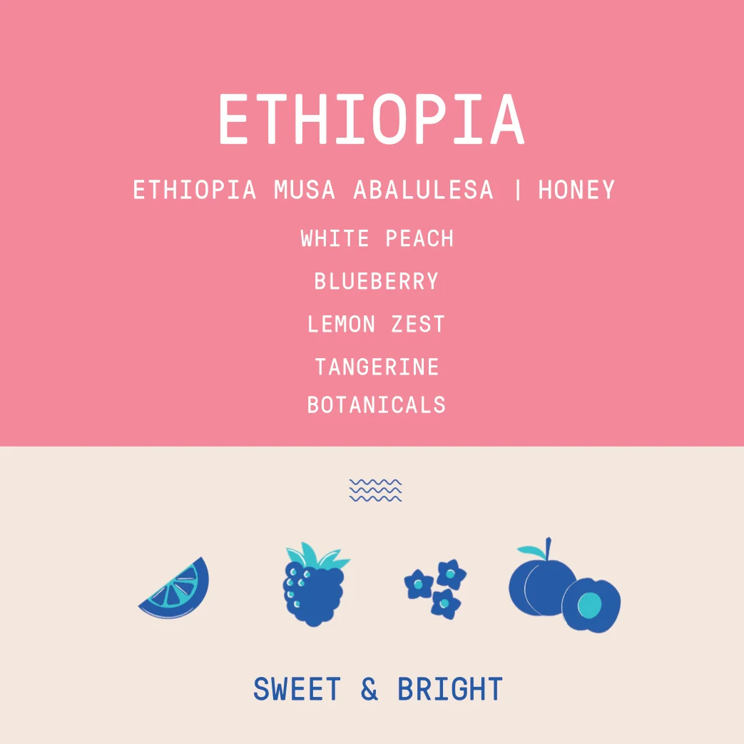 Ethiopia - Musa Abalulesa Oma Fontule | Honey Process - 250g - Image 2