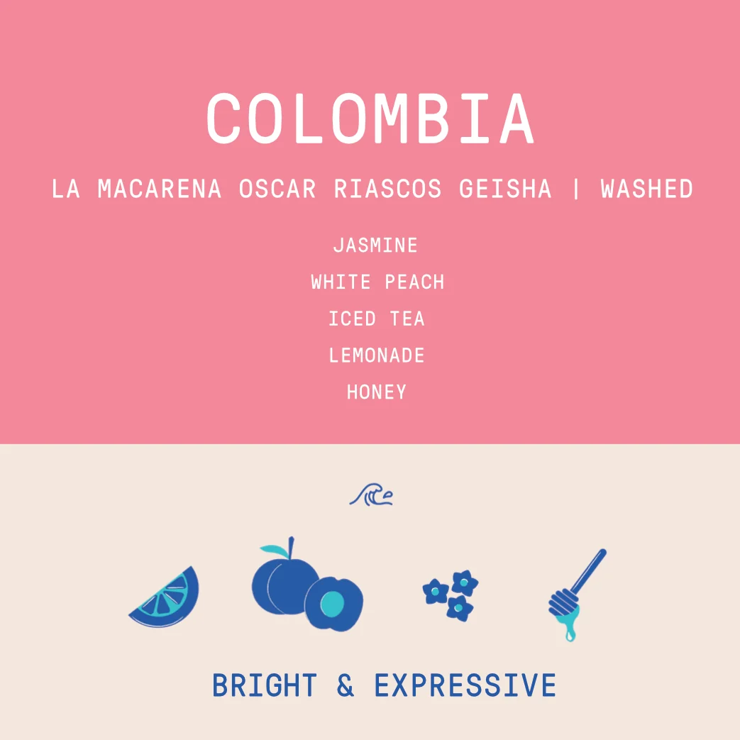 Colombia - La Macarena Oscar Riascos | Geisha Washed - Archived - 40g SAMPLE - Image 2