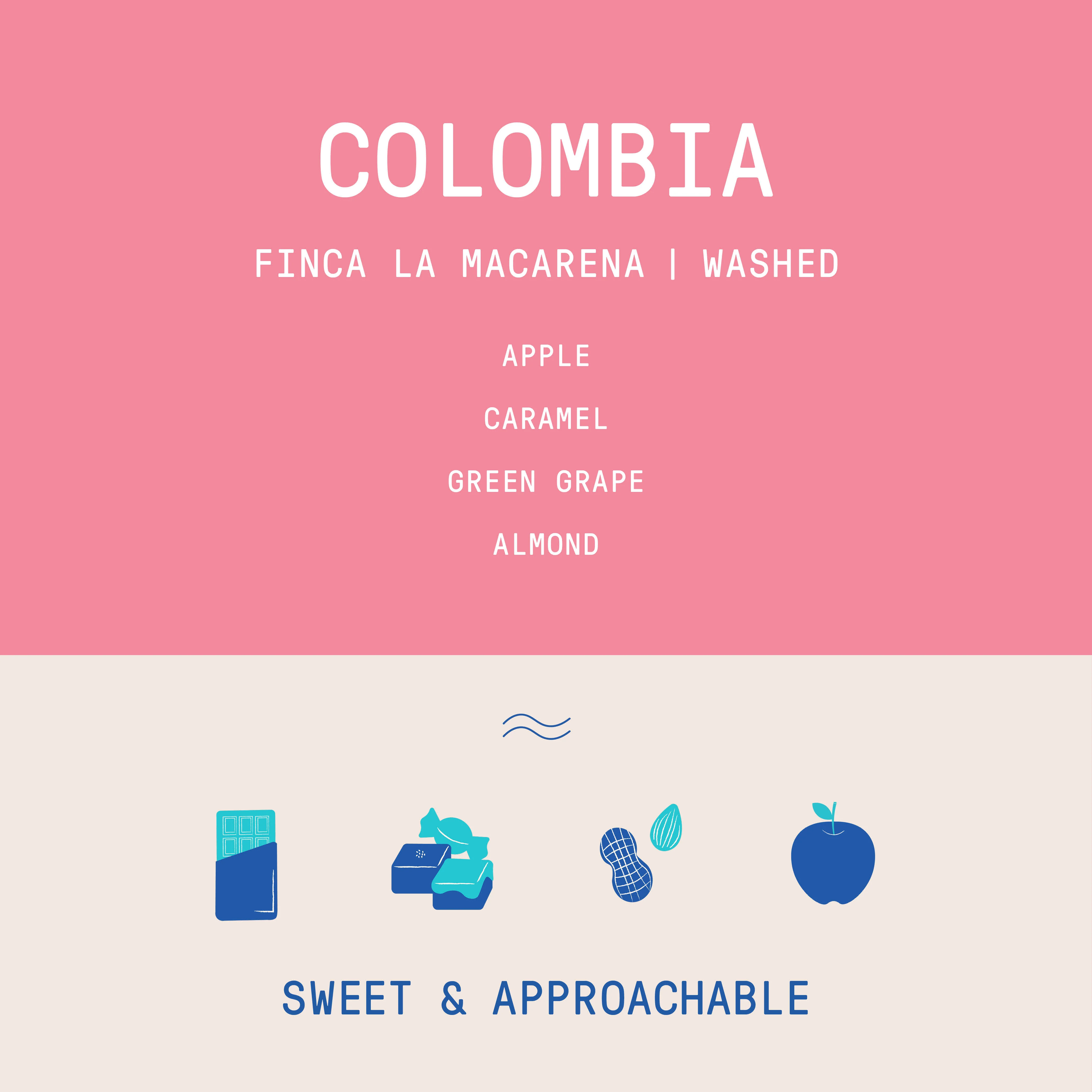 Colombia - Finca La Macarena Wilton Benitez | Washed Castillo - Archived - 1 KG - Image 2