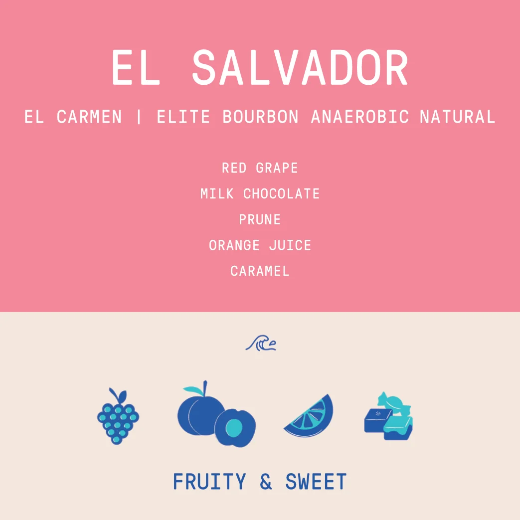 El Salvador - El Carmen | Elite Bourbon Anaerobic Natural - Archived - 40g SAMPLE - Image 2