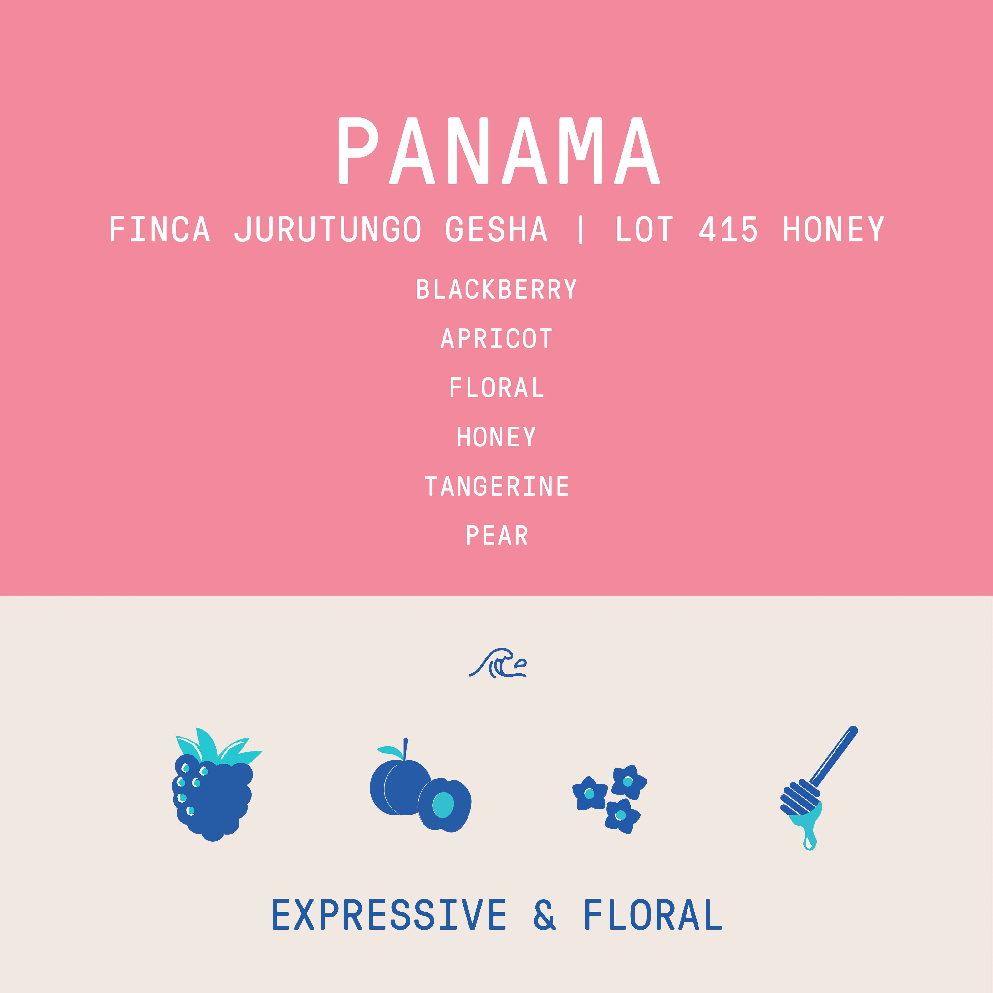 Panama - Finca Jurutungo Gesha | Lot 415 Honey - 100g - Archived - Image 2