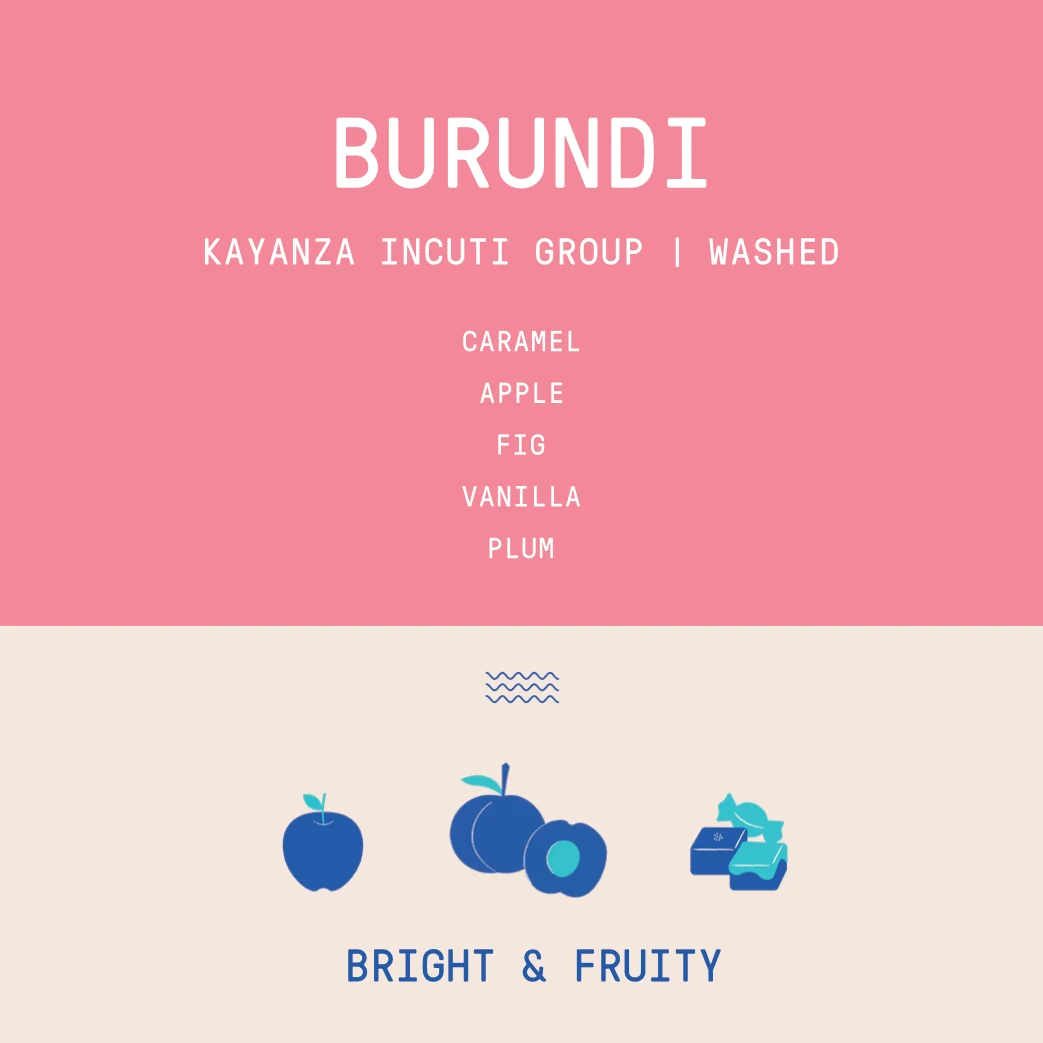 Burundi - Kayanza Incuti Group | Washed - Archived - 2.5 KG - Image 2